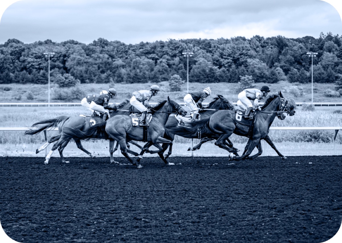 Racehorses on a track